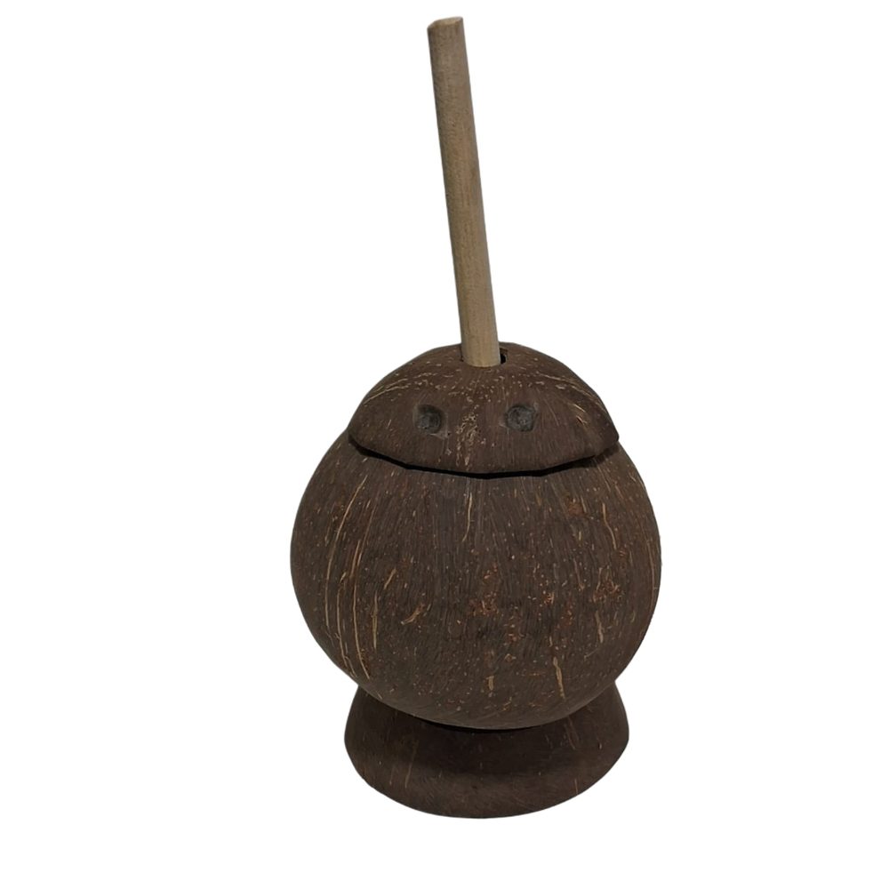 Coconut shell salt pot with spoon