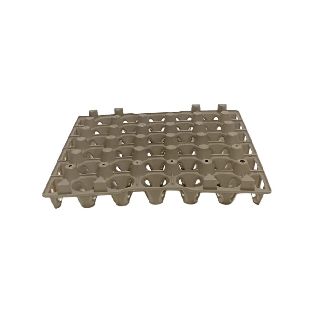 Large Plastic Egg Tray (30 Eggs)