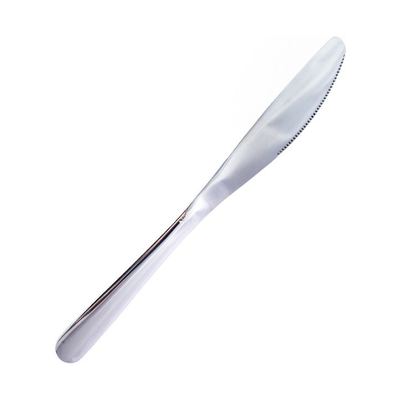Stainless Steel Dessert Knife