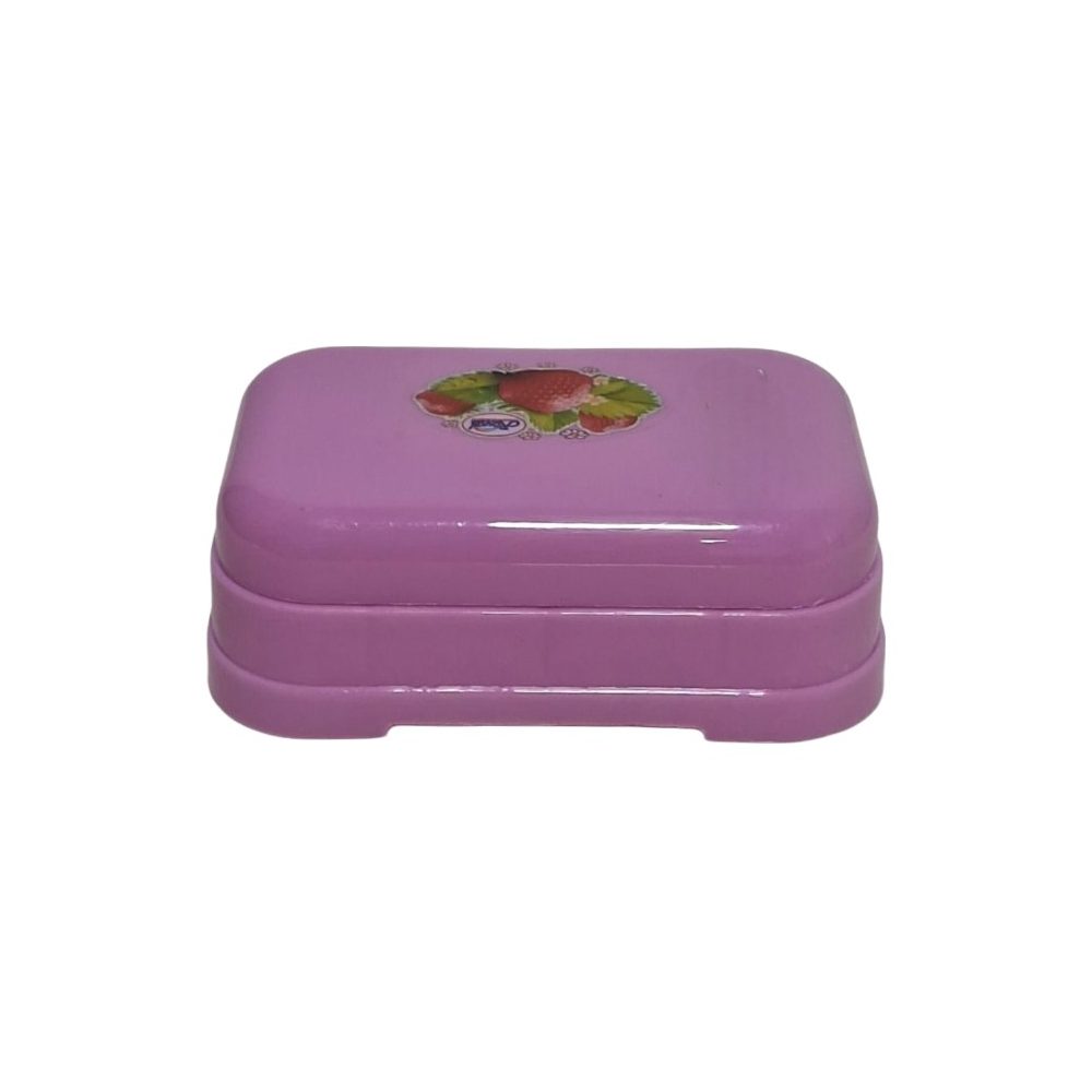 Plastic soap case with lid