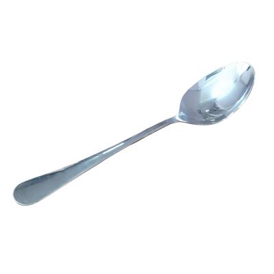 Stainless Steel Serving Spoon, 23cm