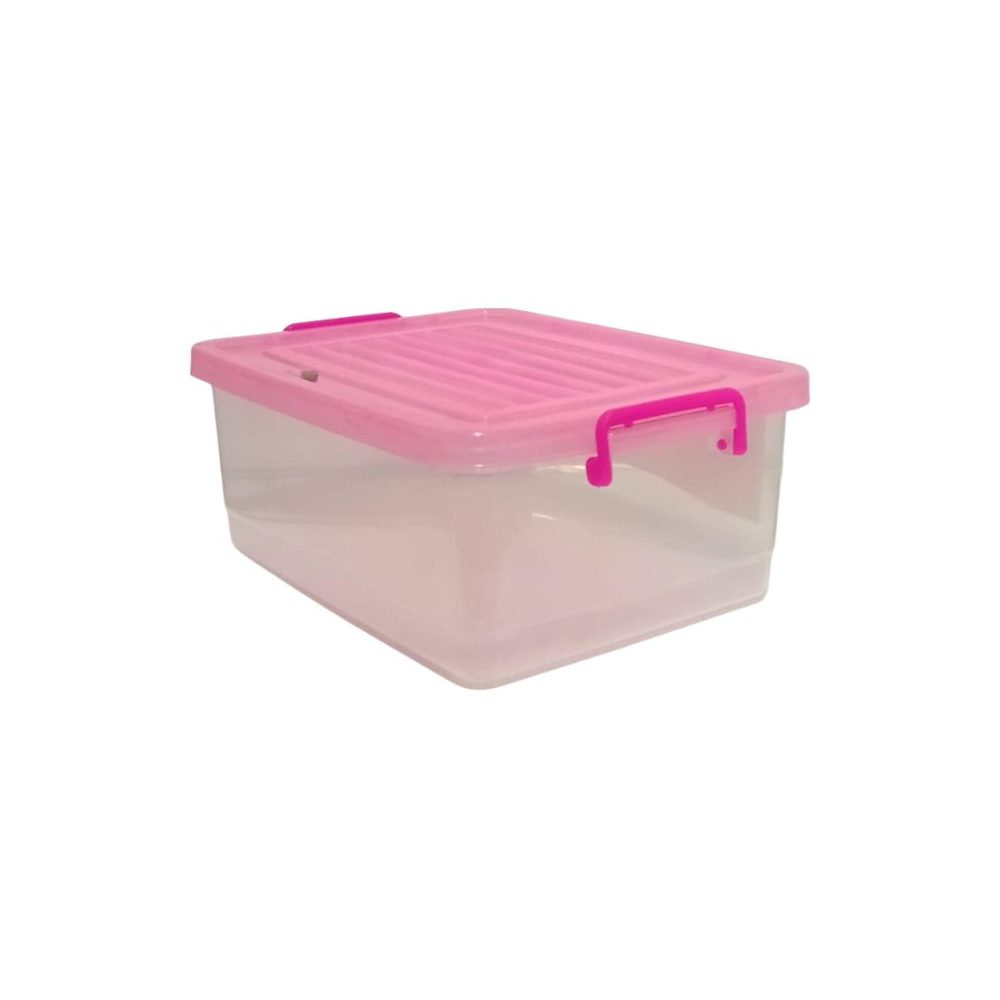 Large Clear Plastic Storage Box