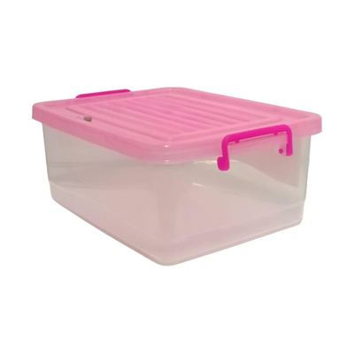 Large Clear Plastic Storage Box