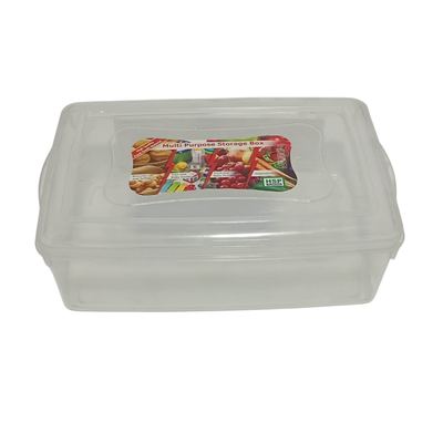 Clear Plastic Multi-Purpose Storage Box
