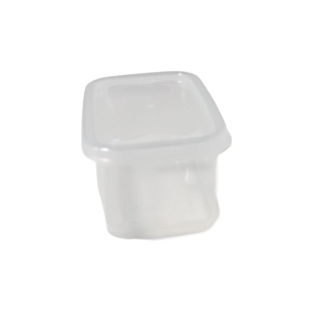 Small clear plastic food container