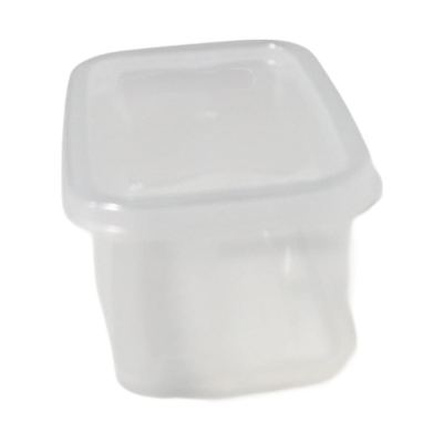 Small clear plastic food container