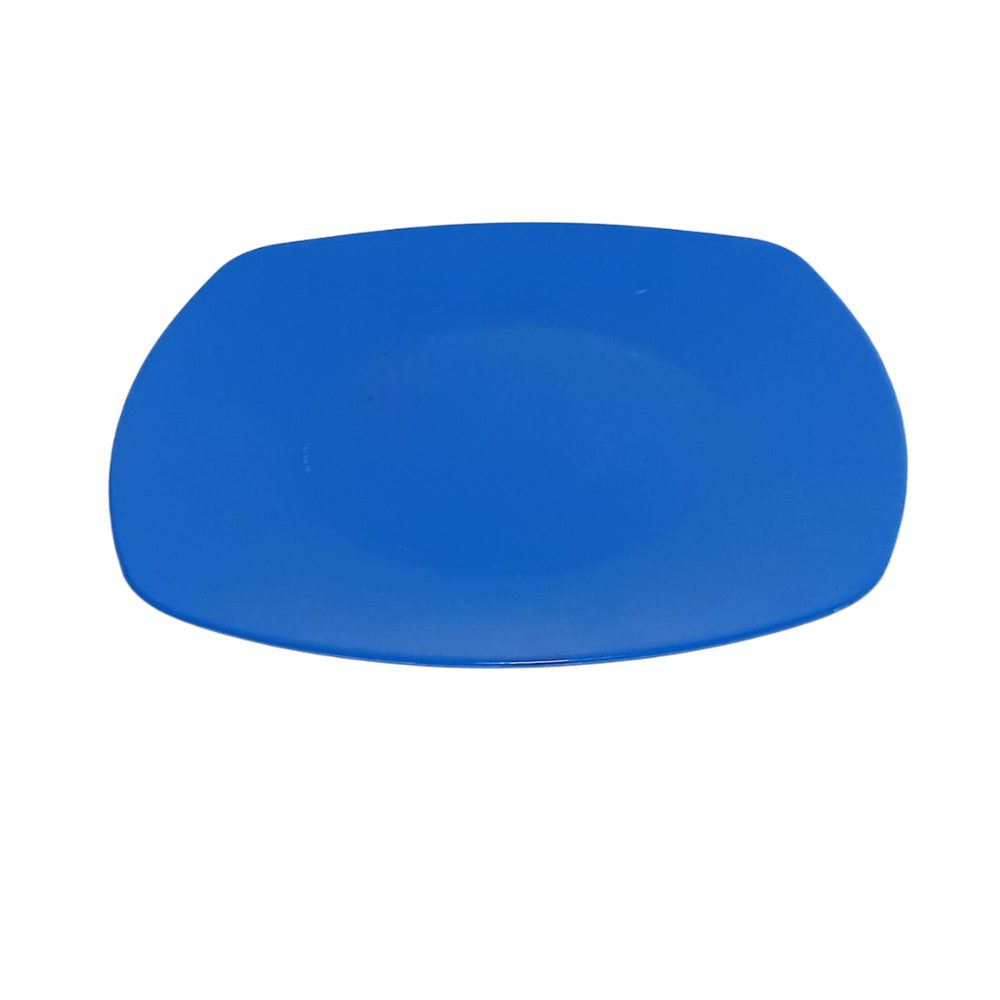 Blue square plastic dinner plate