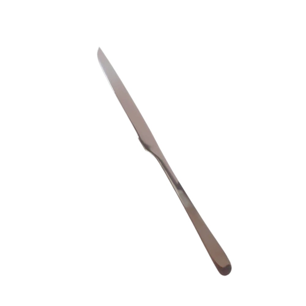 Stainless Steel Butter Knife