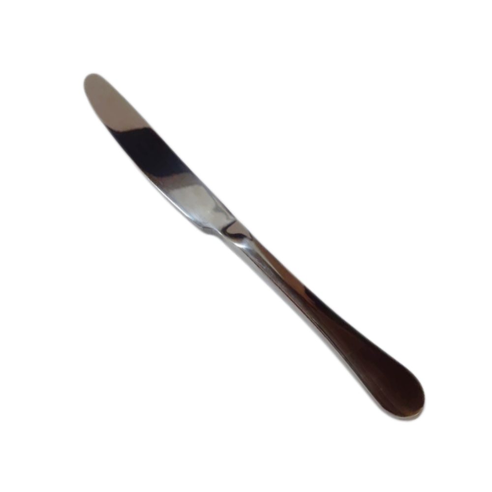 Stainless Steel Table Knife