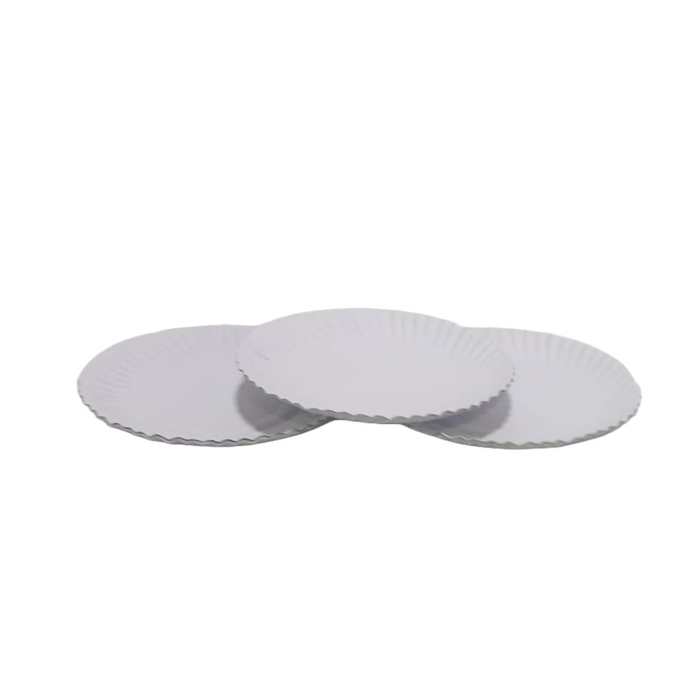 Large White Paper Plates