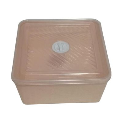 Square Plastic Food Storage Container