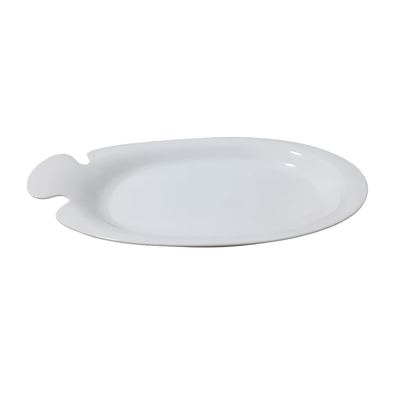 Dankotuwa White Fish Platter