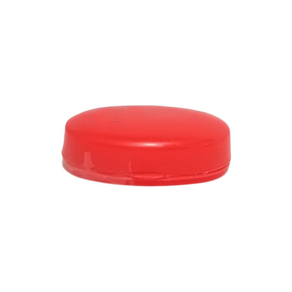 Oval Plastic Soap Case