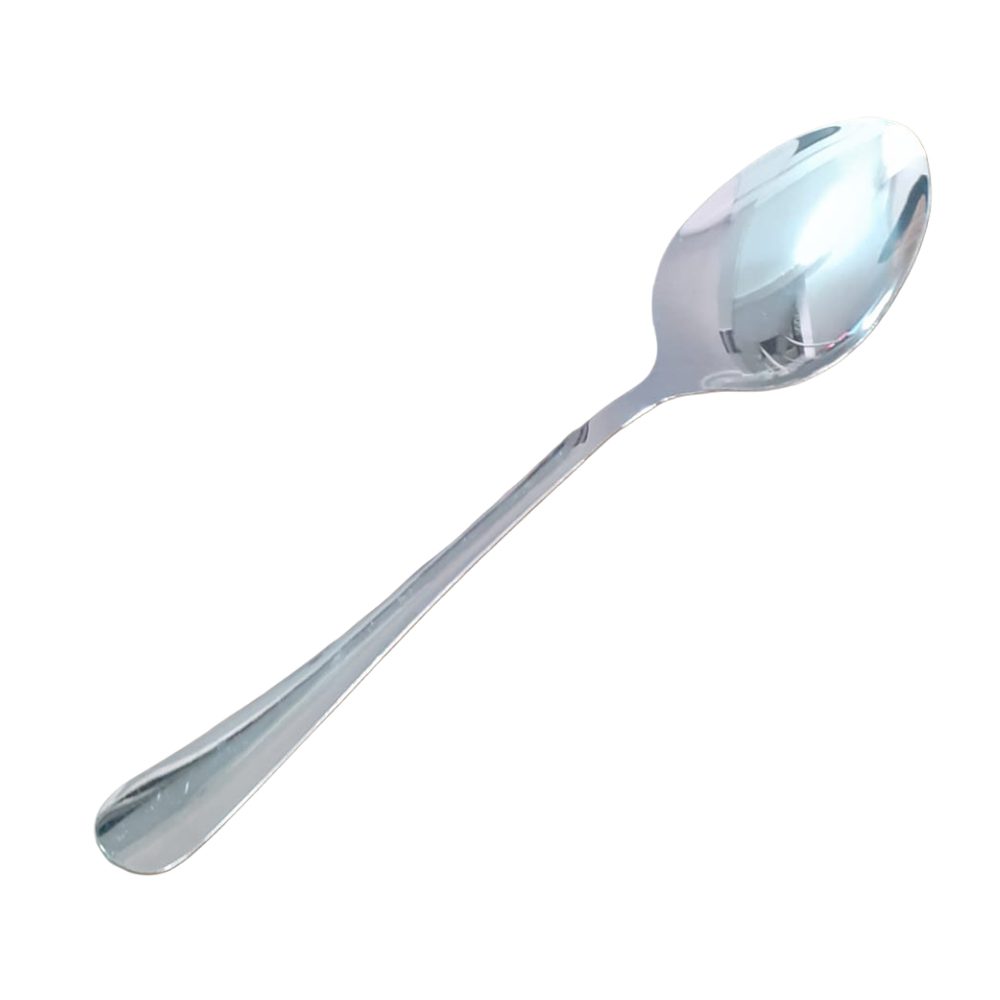 Stainless Steel Serving Spoon