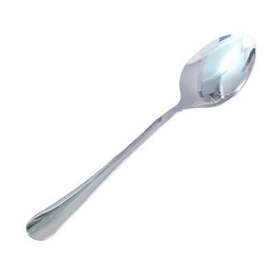 Stainless Steel Serving Spoon