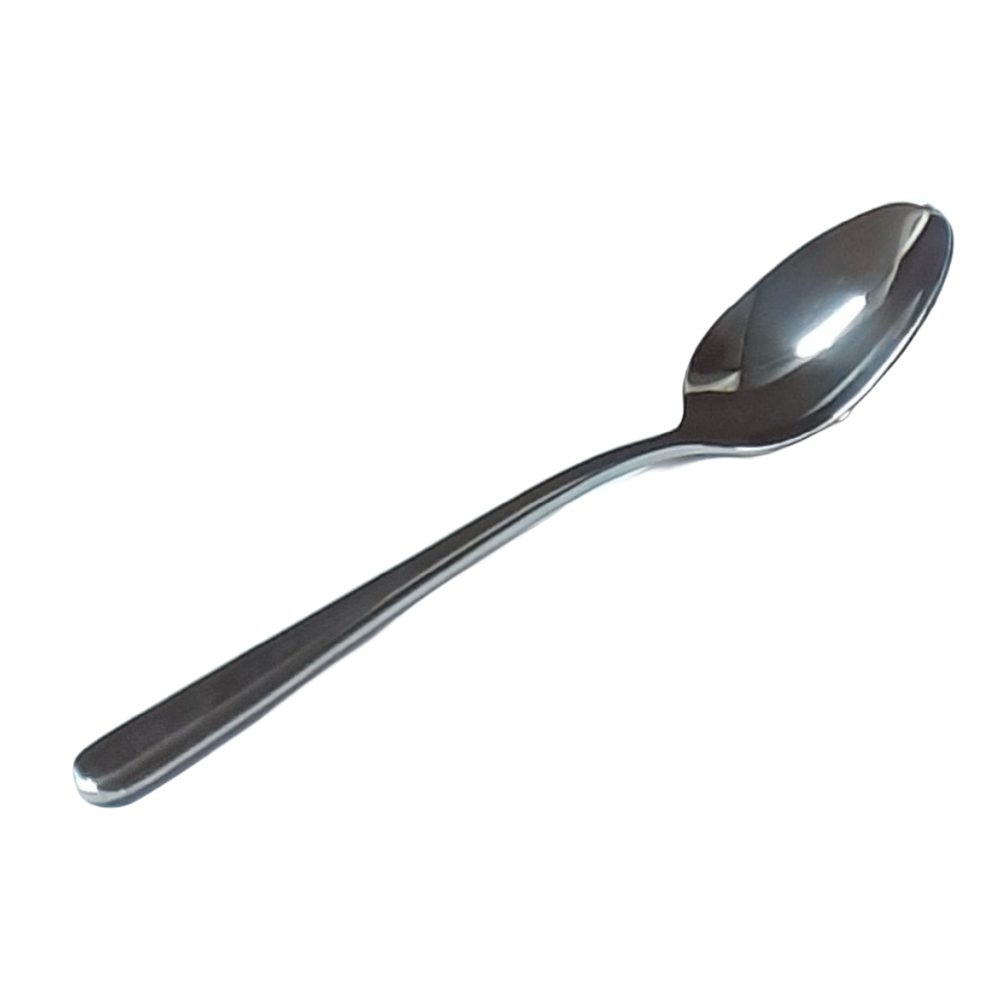 Stainless Steel Table Spoon