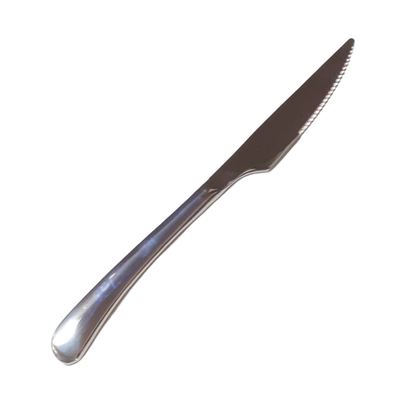 Stainless Steel Steak Knife