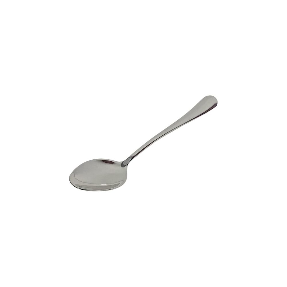 Stainless Steel Serving Spoon