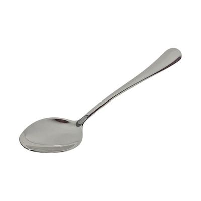 Stainless Steel Serving Spoon