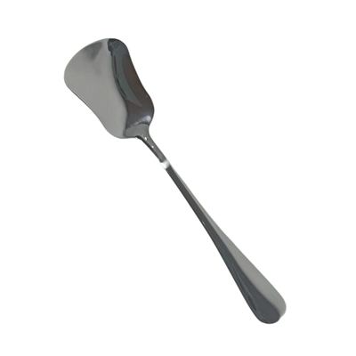 Stainless Steel Ice Cream Spoon