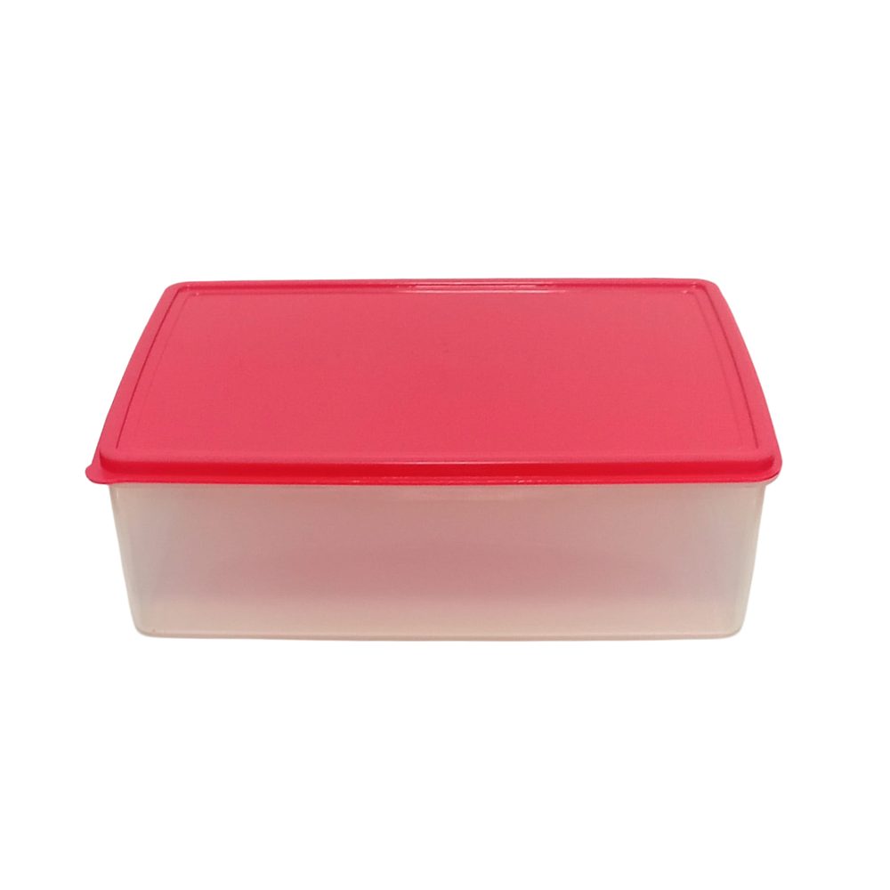 Rectangular plastic storage box with lid