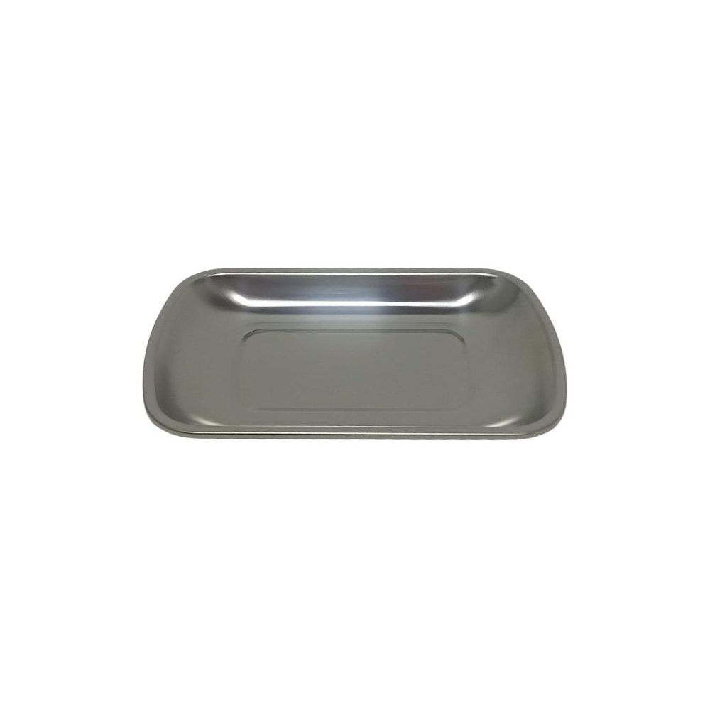 Small stainless steel serving tray