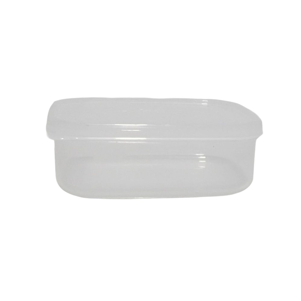 Small Plastic Food Storage Box With Lid