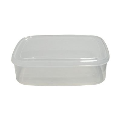 Clear Square Plastic Food Storage Box
