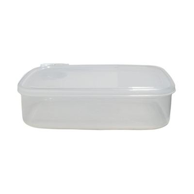 Rectangular plastic food storage box