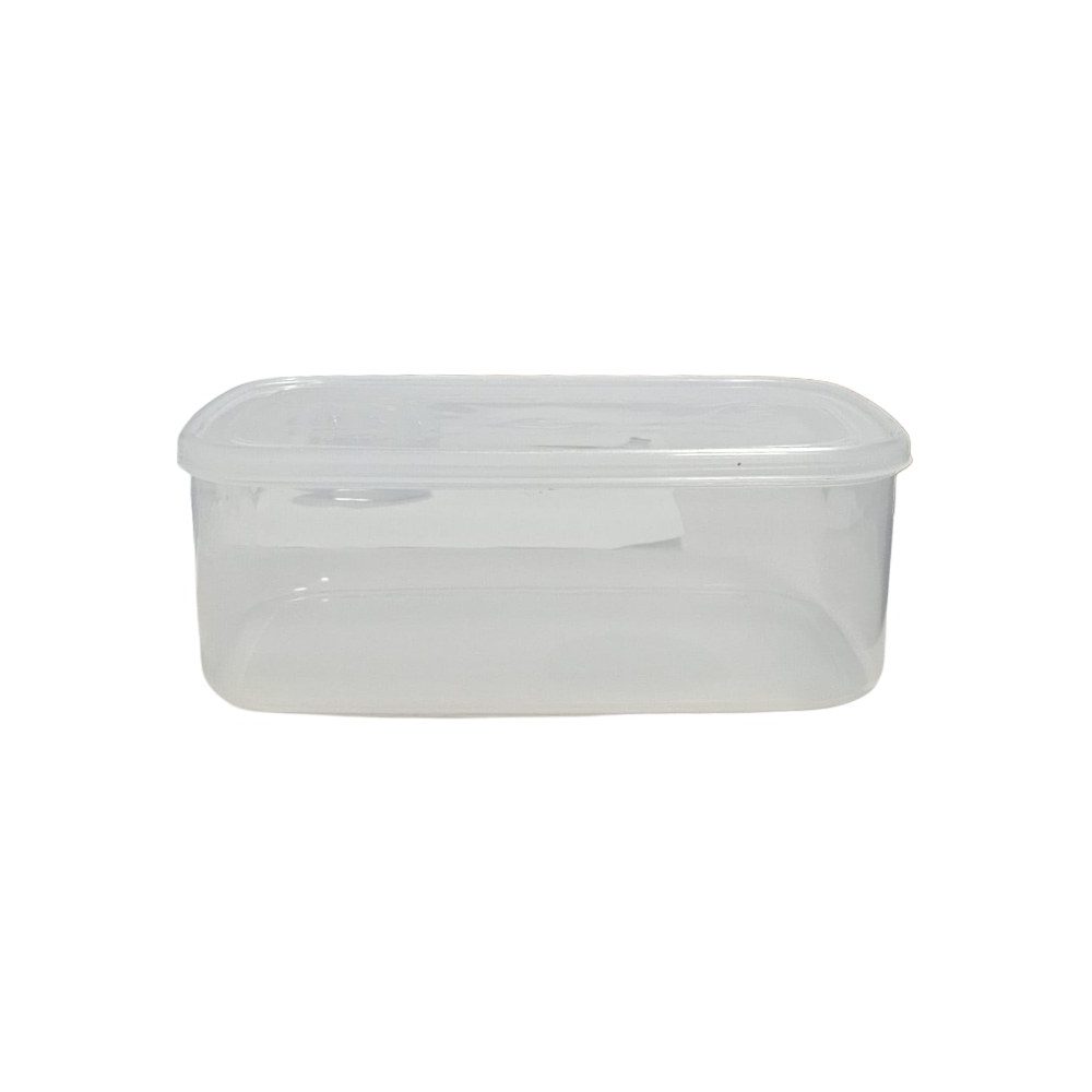 Clear Plastic Food Storage Box