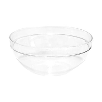 Clear polycarbonate salad bowl